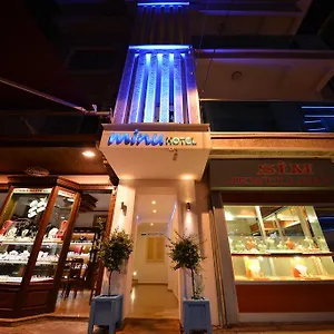 酒店 阿米努酒店